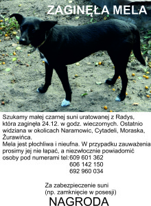 plakat Mela (1)